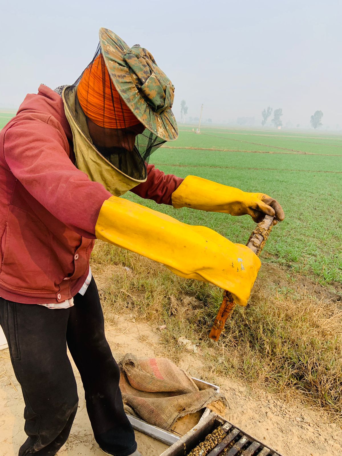  www.PunjabHeavenFarms.com