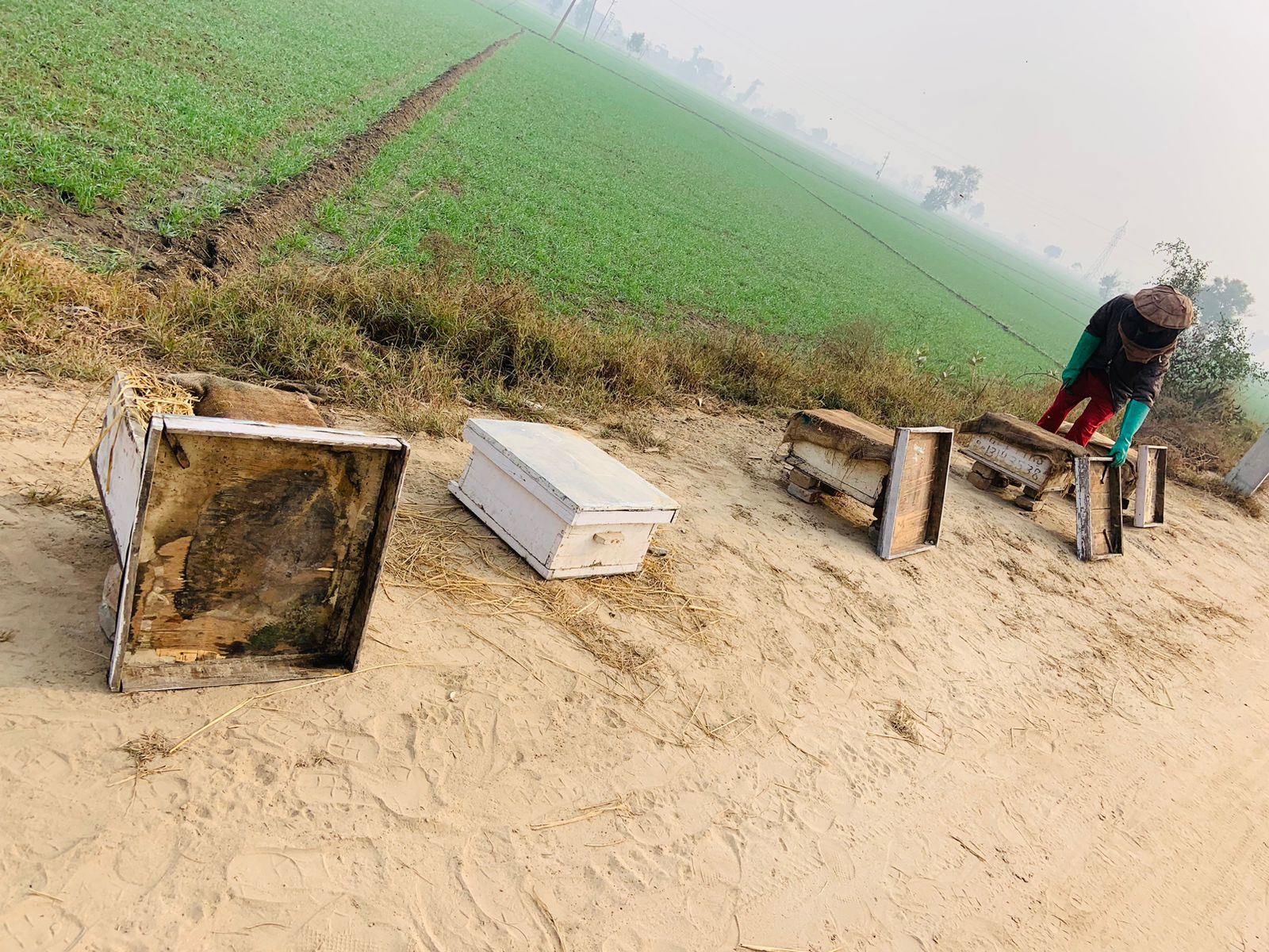  www.PunjabHeavenFarms.com