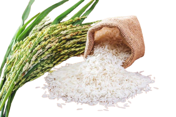  www.PunjabHeavenFarms.com