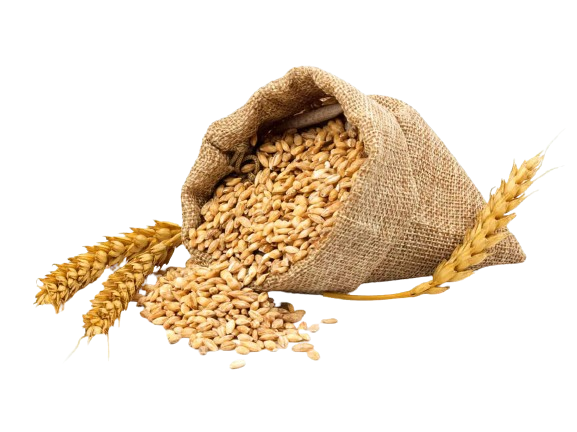  www.PunjabHeavenFarms.com
